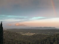 IMG_0867.jpeg