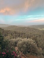 IMG_0871.jpeg