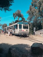 IMG_0915.jpeg