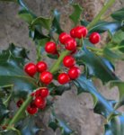 WP_20181015_10_19_51_Rich (2).jpg