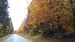 WP_20181015_15_32_02_Rich.jpg