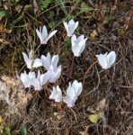 WP_20181015_10_41_29_Rich (3).jpg