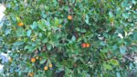 WP_20181023_09_56_07_Pro.jpg
