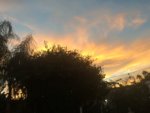 1051769C-E85D-4573-8BFA-0A88E6D755E2.jpeg