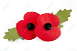 1541700872928.png