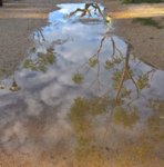 WP_20181109_08_37_25_Pro (2).jpg