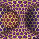62564BAF-EF3A-4AB2-9FB8-769134EF36BE.jpeg
