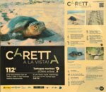 WP_20181120_16_58_17_Pro (2).jpg