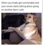 comfy.jpg