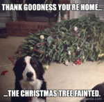 christmas tree.jpg