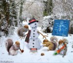 Squirrels-Making-a-Snowman--102678.jpg