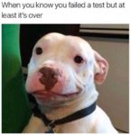 Failed test.jpg