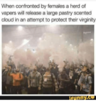 when-confronted-by-females-a-herd-of-vapers-will-release-32089091.png