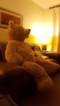 Bear.jpg