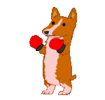 boxingdaydog.gif