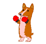 boxingdaydog.gif
