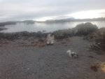 B46650B6-0D9D-4CC1-A681-18C9392CE368.jpeg