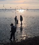 WP_20190104_13_33_06_Pro (2).jpg