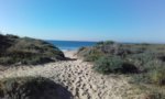 image00000061.jpeg