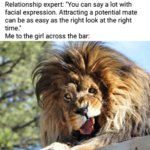 Lion.jpg