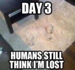 lost.jpg