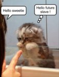 sweetie.jpg