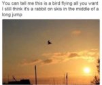 74F663B3-23CF-41AB-BFC3-80A2B25B831D.jpeg