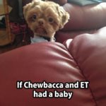 baby.jpg