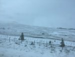95D02DEE-36B3-486D-A094-FA08FDFCBA0F.jpeg
