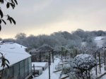 Snow Feb 01 2019-d.jpg