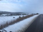 2840213D-0984-40DB-86B3-FD99C20CB898.jpeg