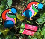 WP_20190217_10_35_21_Rich (4).jpg