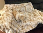 camouflage 1.jpg