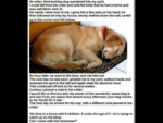 2103FD2E-9669-4A4D-85FB-9A3C7CCC1902.png