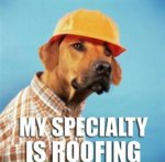 dog-meme-roofing.jpg