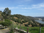 1550951657106.png