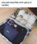 Package.jpg