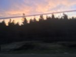 08BE030E-7F47-43E7-8A2C-51346C02DE76.jpeg