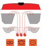 omnia-illustration.jpg omnia-illustration.jpg