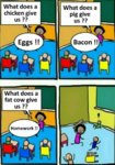 9544978D-FF2C-4BD3-905A-C4AA9B2CA803.jpeg