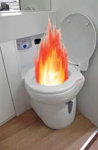 toilet.jpg
