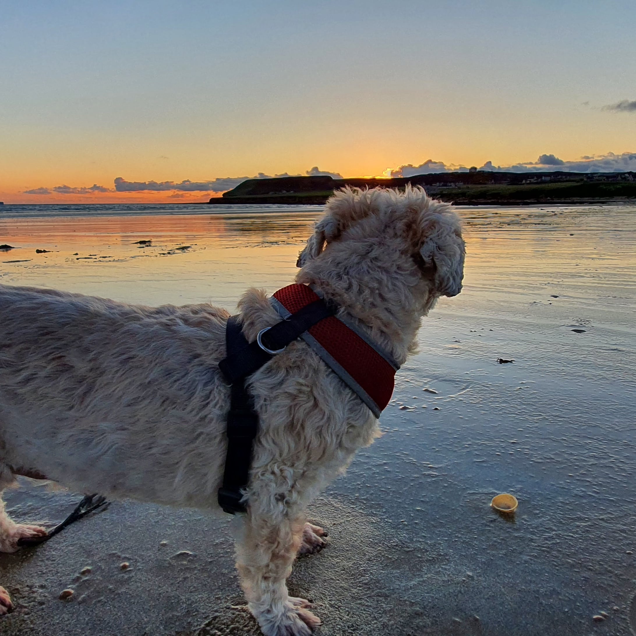 Dunnet Bay