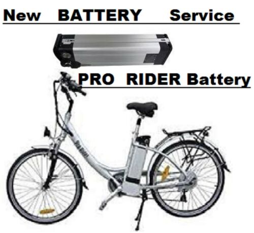 pro rider e wayfarer electric bike