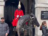 www.dailymail.co.uk