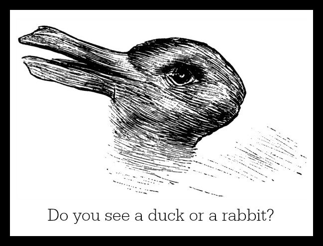 xrabbit-duck-illusion-psychology.jpg.pagespeed.ic.Z4q7nqPQEl.jpg