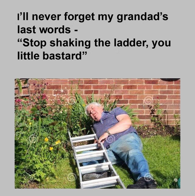 stop_shaking_ladder_copy.jpg