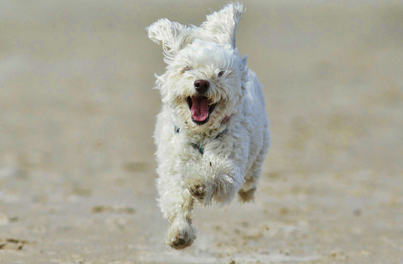 www.cornwall-beaches.co.uk