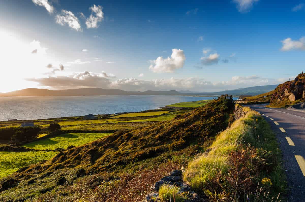 www.thewildatlanticway.com
