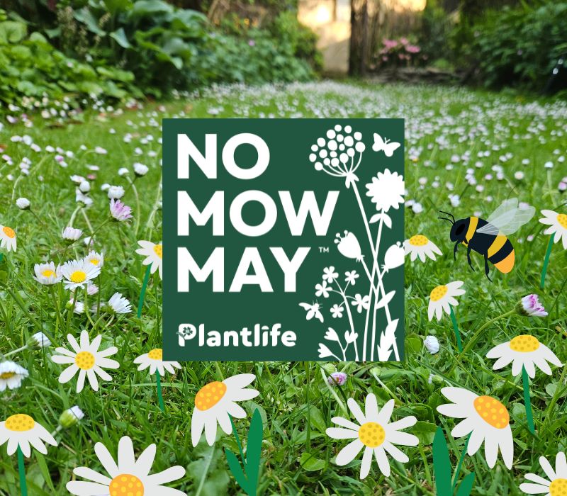 www.plantlife.org.uk