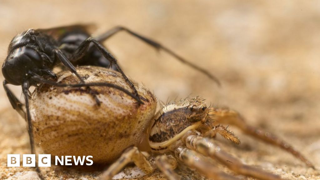 www.bbc.co.uk
